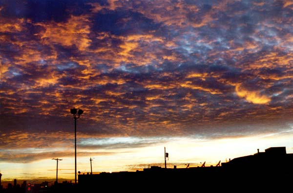 Favorite Sky
